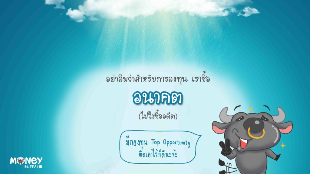 Top Opportunity