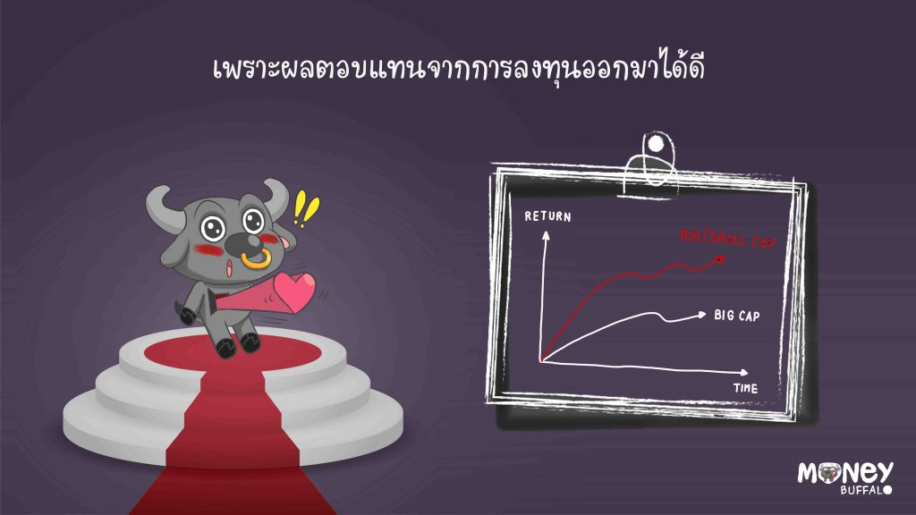 SCBMSE กองทุนหุ้นขนาดกลางและเล็ก