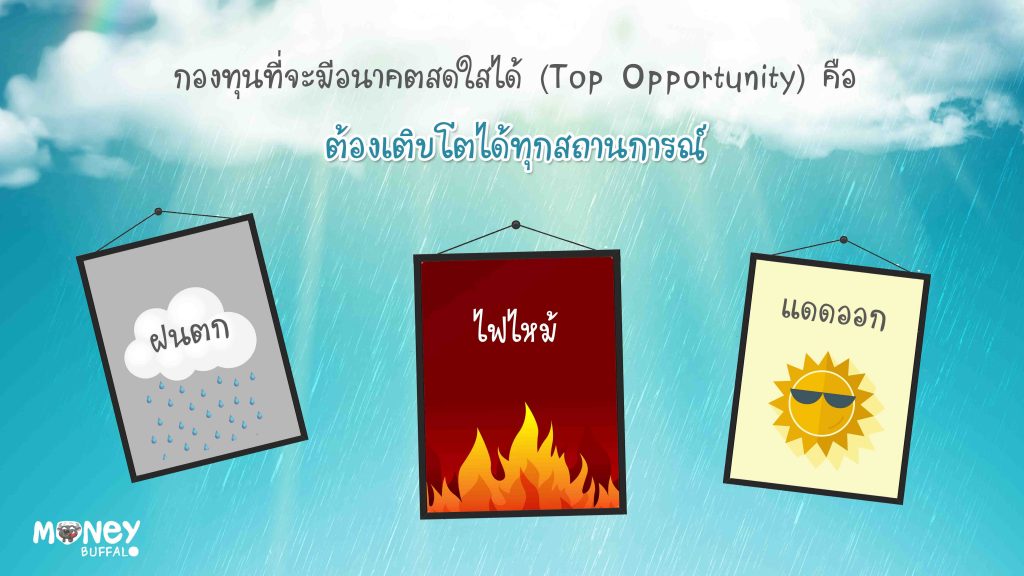 Top Opportunity