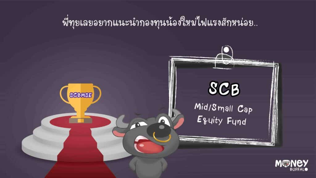 SCBMSE กองทุนหุ้นขนาดกลางและเล็ก