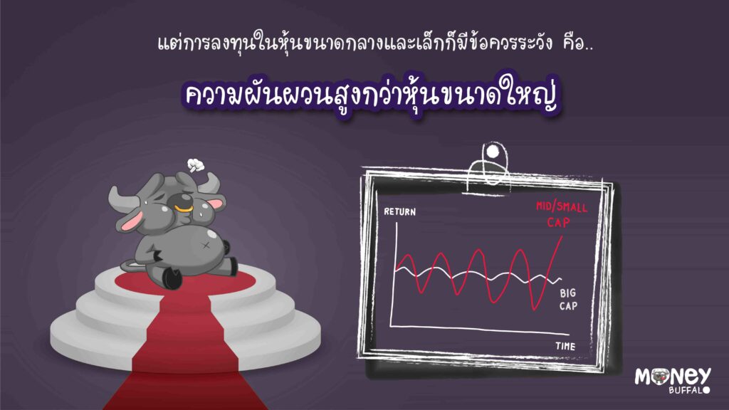 SCBMSE กองทุนหุ้นขนาดกลางและเล็ก