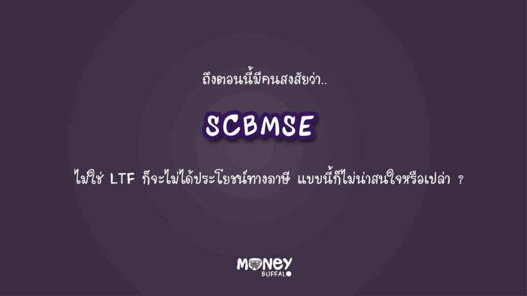 SCBMSE กองทุนหุ้นขนาดกลางและเล็ก