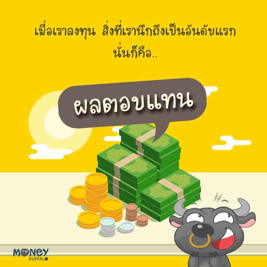 กองทุนเปิดกรุงศรีไทยออลสตาร์ปันผล (KFTSTAR-D)
