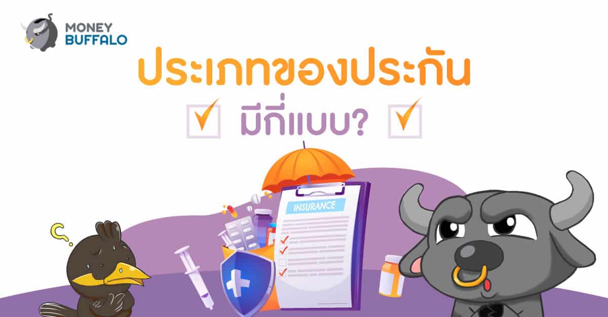 "ประเภทของประกัน" มีกี่แบบ ?