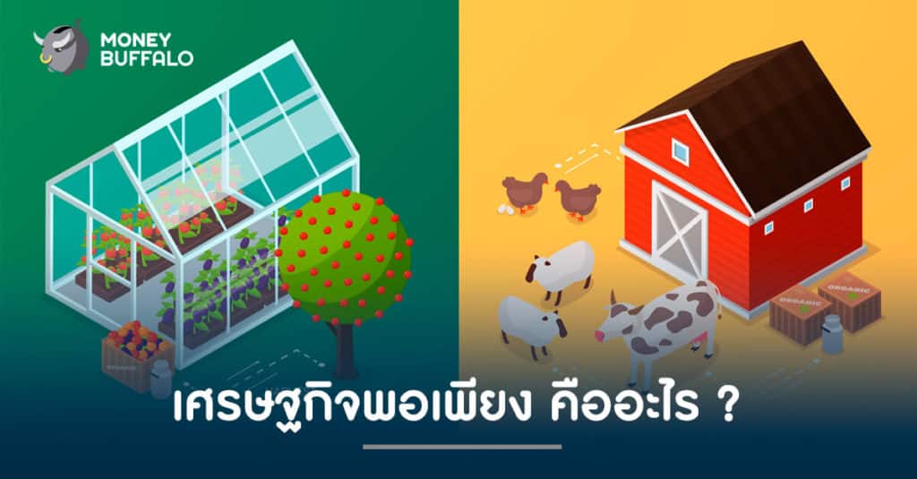 เศรษฐกิจพอเพียง คืออะไร ?