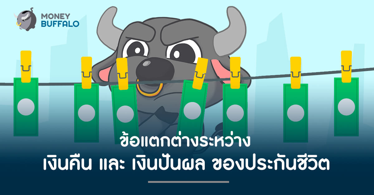 ข้อแตกต่างระหว่างเงินคืนและเงินปันผลของ "ประกันชีวิต"