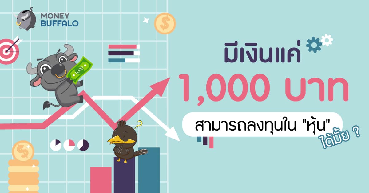 มีเงินแค่ 1,000 บาท สามารถลงทุนใน “หุ้น” ได้มั้ย ? - Money Buffalo