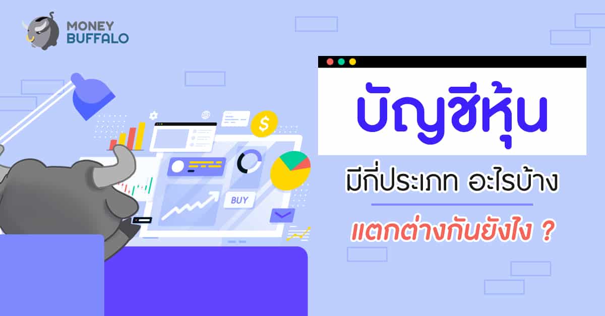 บัญชีหุ้น” มีกี่ประเภท อะไรบ้าง แตกต่างกันยังไง ? - Money Buffalo