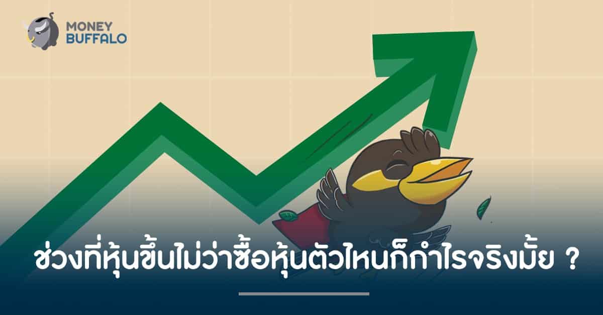 ช่วงที่ "หุ้นขึ้น" ไม่ว่าซื้อหุ้นตัวไหนก็กำไรจริงมั้ย ?