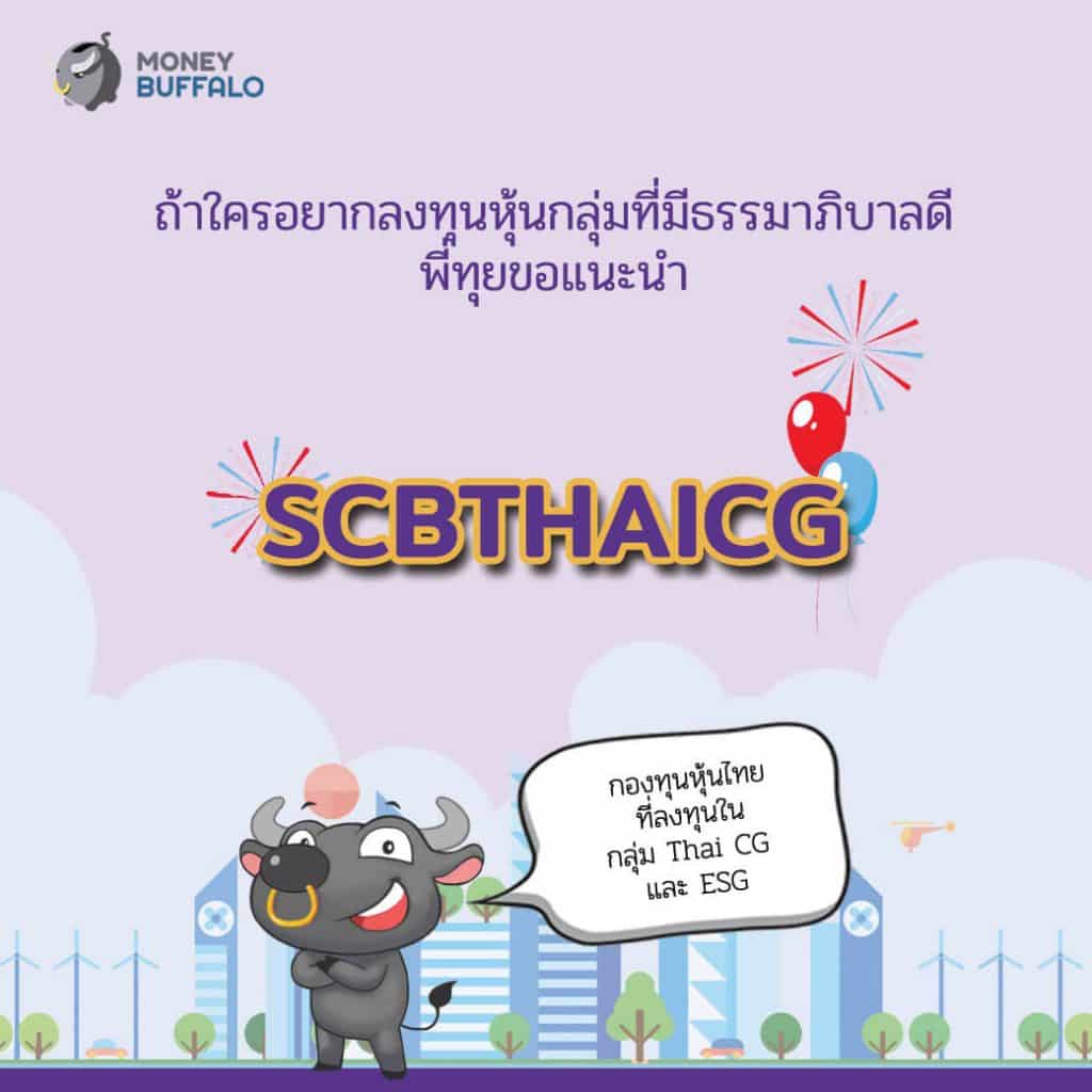 SCBTHAICG