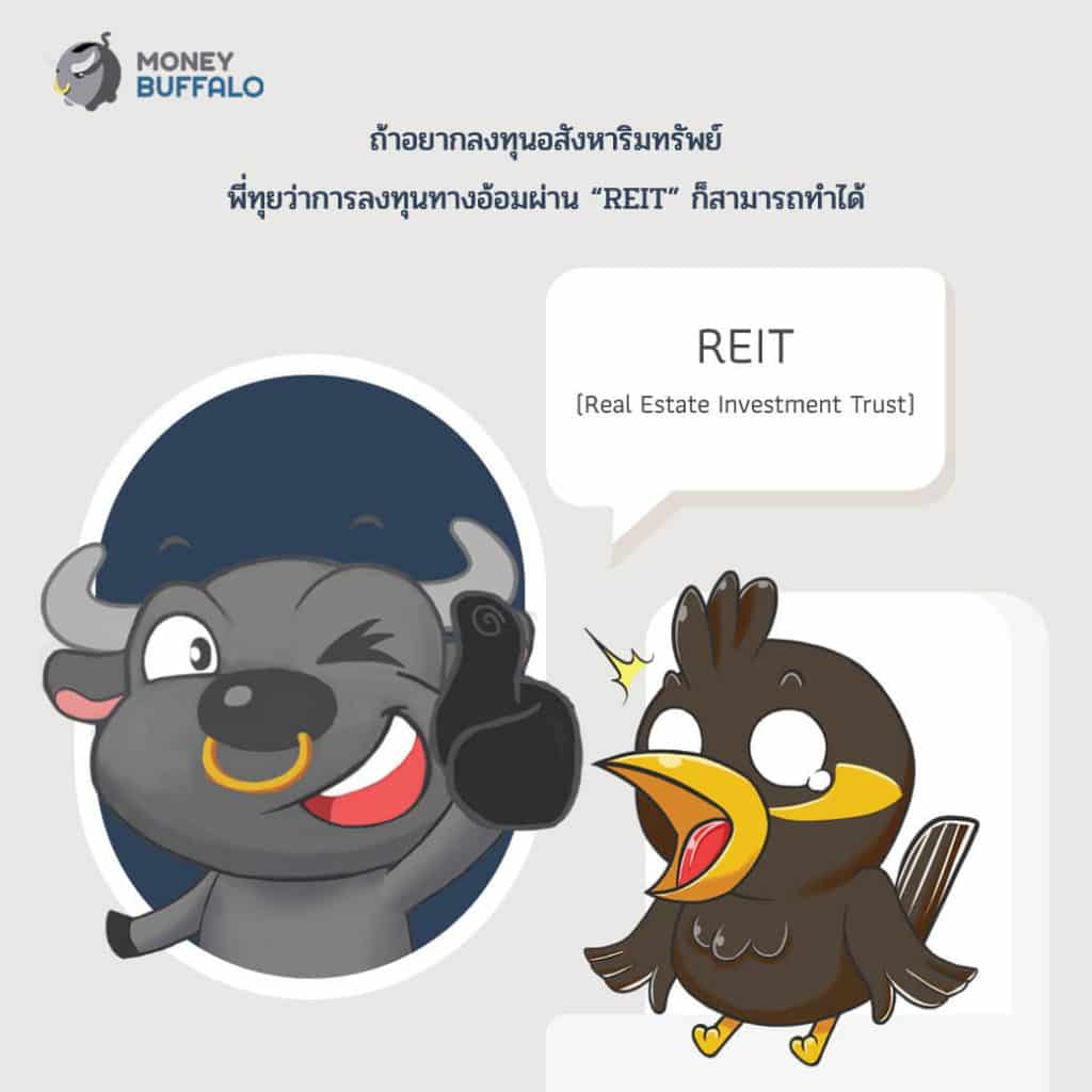 ลงทุนอสังหาริมทรัพย์ที่ต่างประเทศง่ายนิดเดียว !! SHREIT
