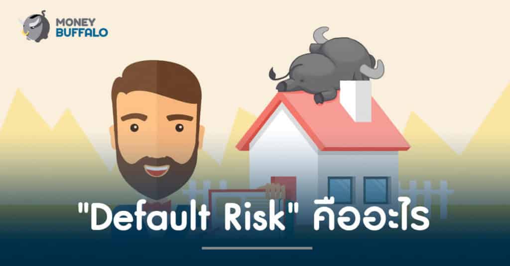 "Default Risk" คืออะไร