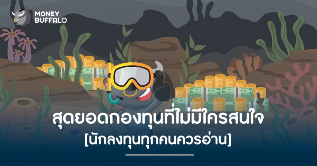 สุดยอด "กองทุน" ที่ไม่มีใครสนใจ [นักลงทุนทุกคนควรอ่าน]