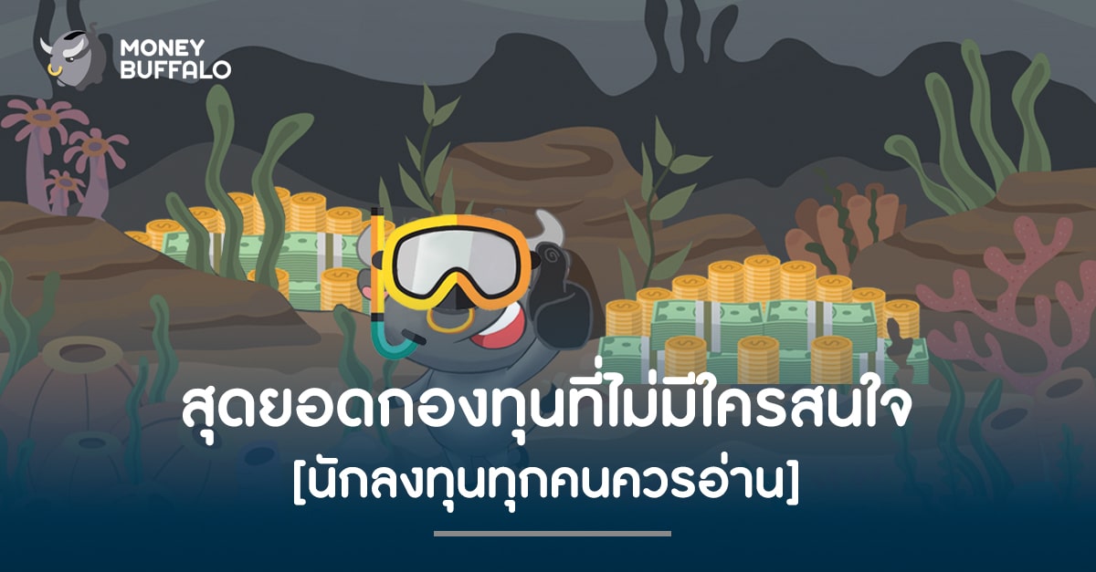 สุดยอด "กองทุน" ที่ไม่มีใครสนใจ [นักลงทุนทุกคนควรอ่าน]