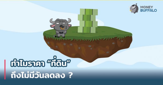 ทำไมราคา ทำไมราคา