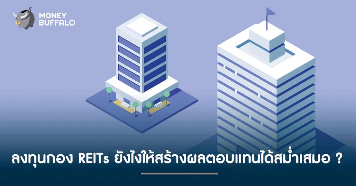 ลงทุนกอง "REITs" ยังไงให้สร้างผลตอบแทนได้สม่ำเสมอ ?
