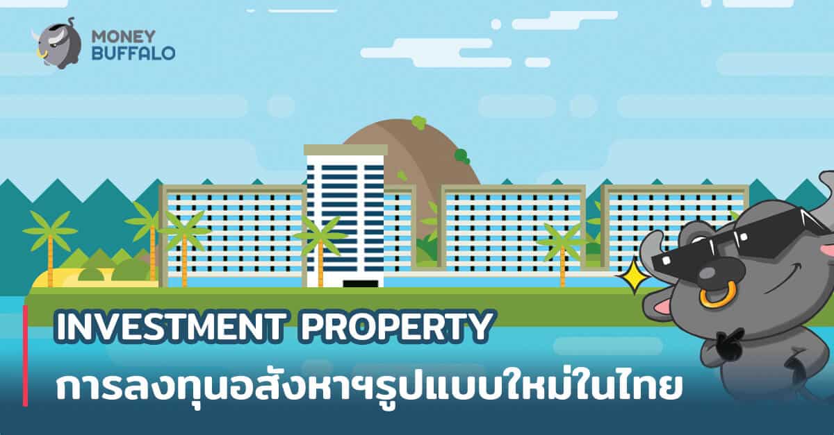 "INVESTMENT PROPERTY" การลงทุนอสังหาฯรูปแบบใหม่ในไทย