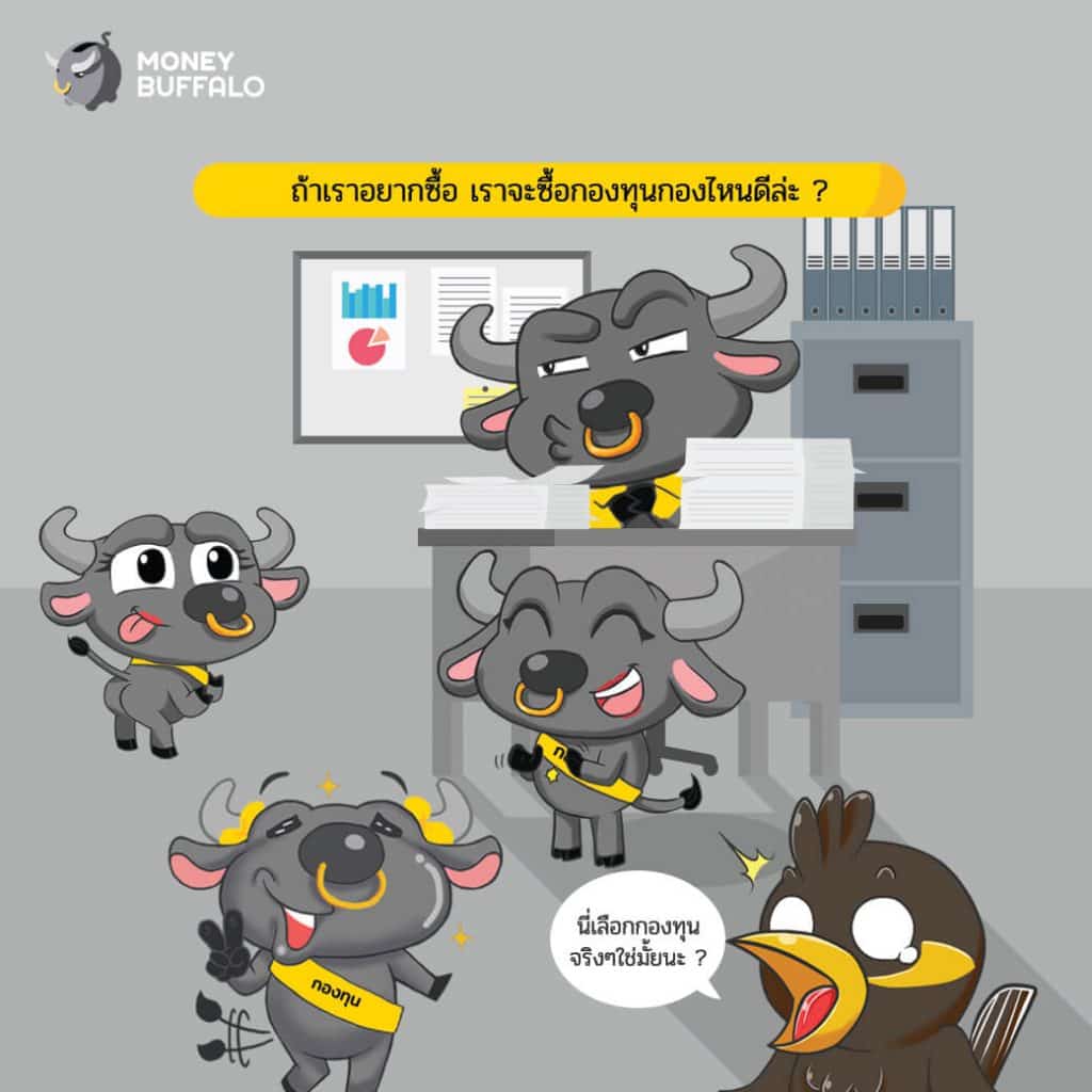 กองทุนเยอะแยะ จะ "คัดเลือกกองทุน" ยังไงให้โดนใจนะ ?