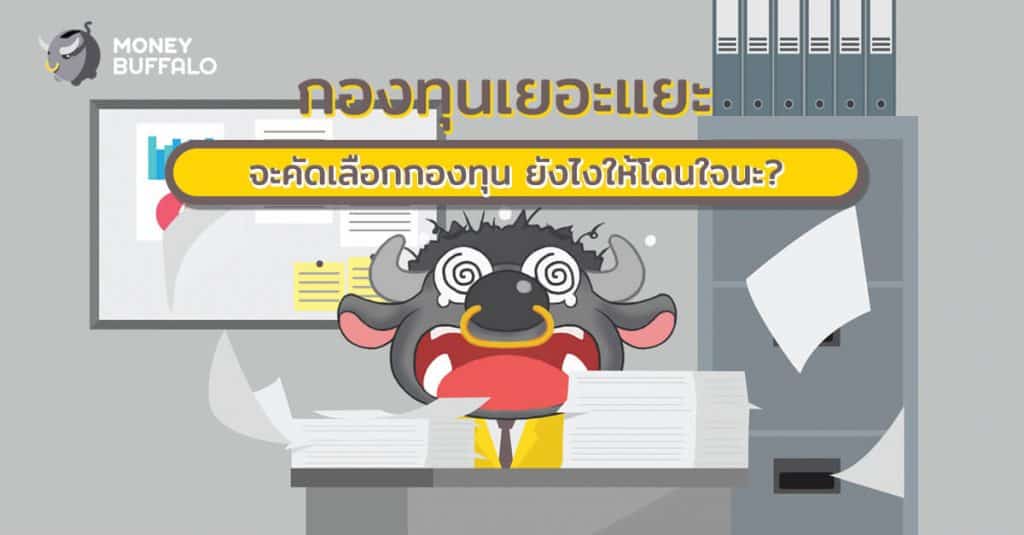 กองทุนเยอะแยะ จะ "คัดเลือกกองทุน" ยังไงให้โดนใจนะ ?