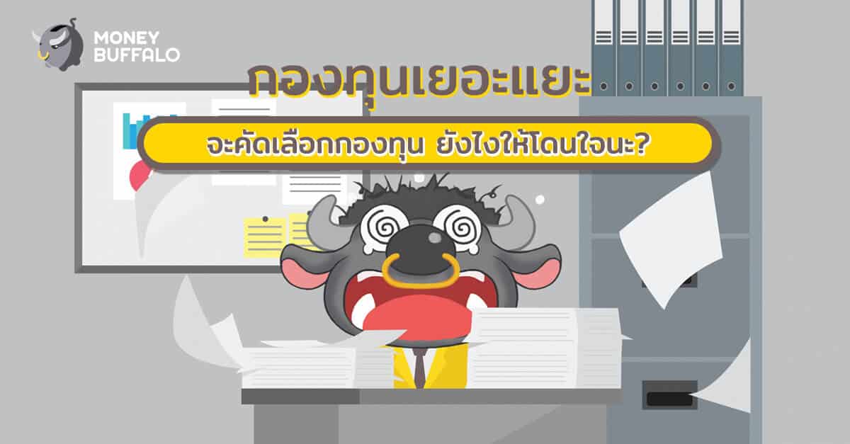 กองทุนเยอะแยะ จะ "คัดเลือกกองทุน" ยังไงให้โดนใจนะ ?