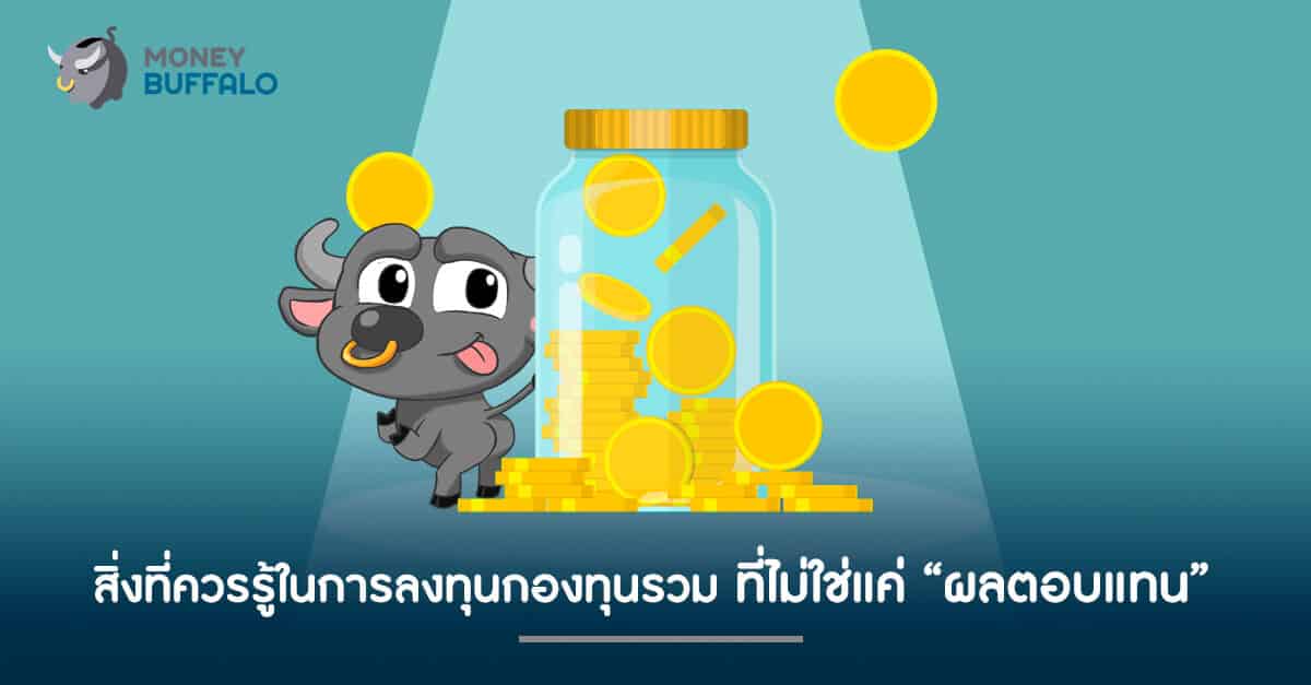 สิ่งที่ควรรู้ในการ "ลงทุนกองทุนรวม" ที่ไม่ใช่แค่ผลตอบแทน
