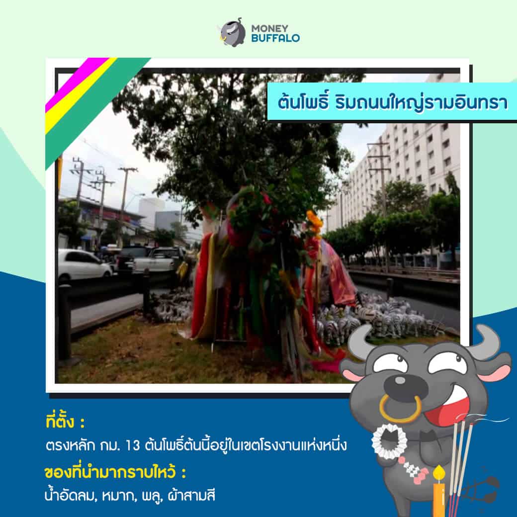 อยากถูกหวยปัง ๆ ขอเลขดังที่ไหน ?