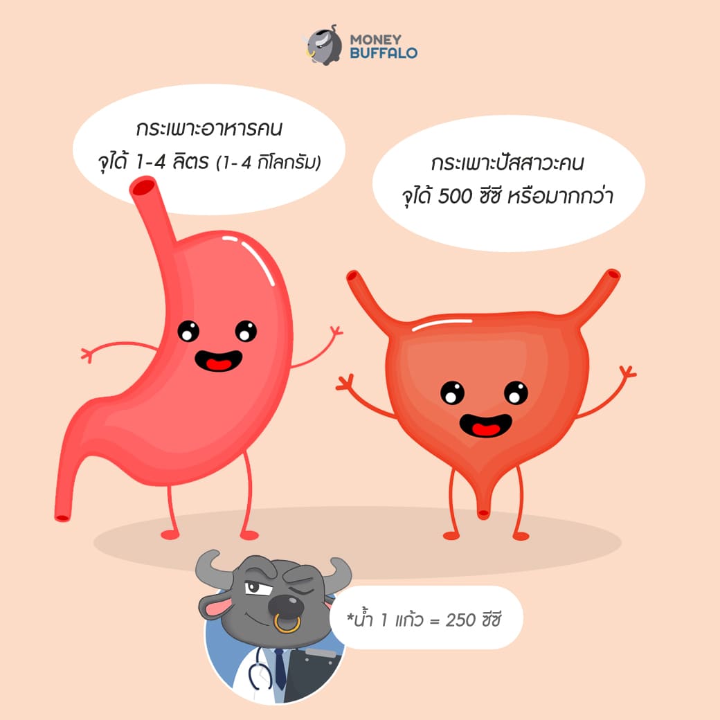 "กินบุฟเฟต์" อย่างไร ให้คุ้มค่าเงินในกระเป๋ามากที่สุด ?