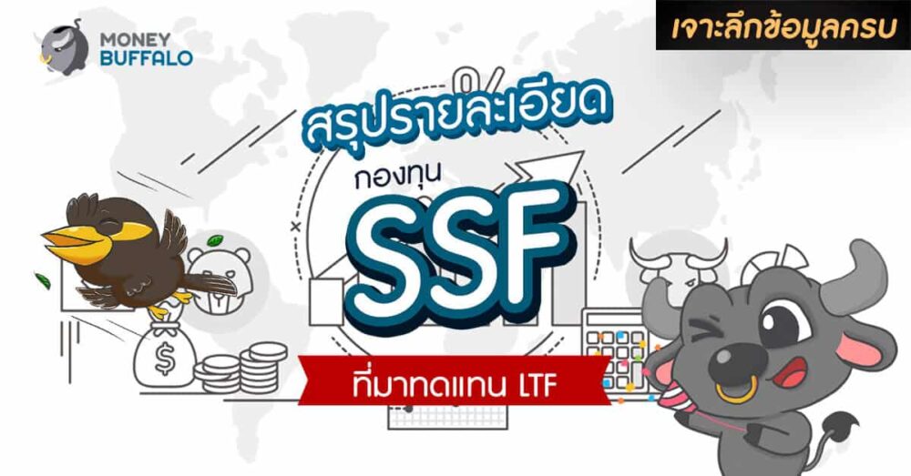 สรุปรายละเอียด "กองทุน SSF" ที่มาทดแทน LTF