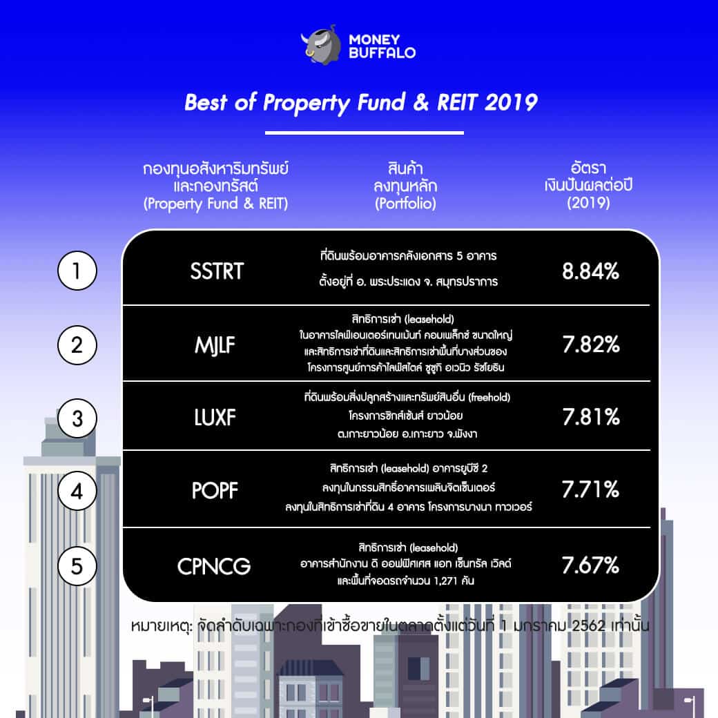 "BEST of ลงทุน ปี 2019" โดย Money Buffalo