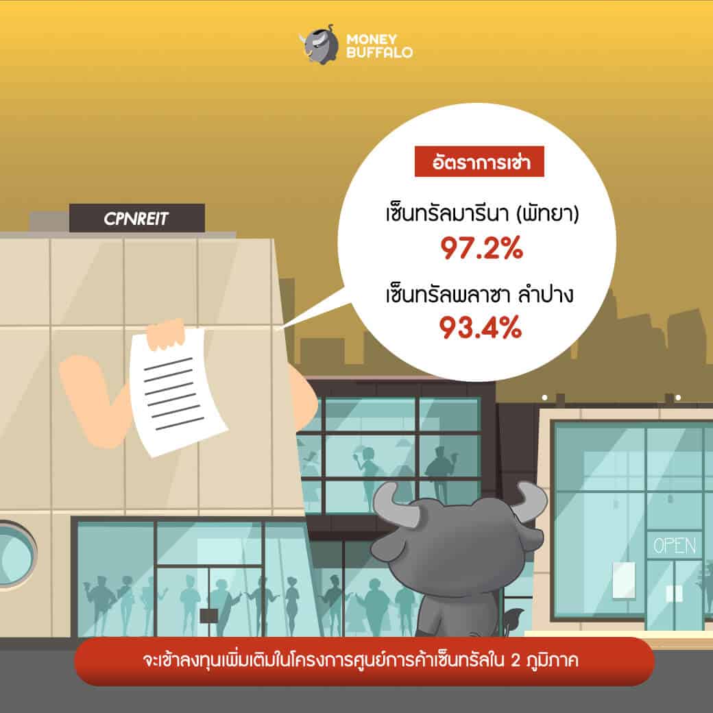 Cpnreit” กอง Reit ที่ใหญ่ที่สุดในไทย เตรียมลงทุนครั้งใหม่พร้อมรับการฟื้นตัว  - Money Buffalo