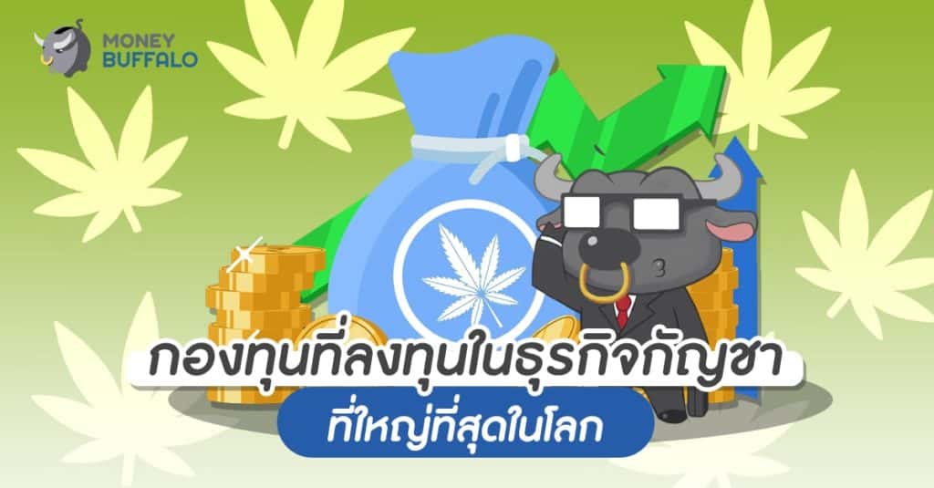 กองทุนที่ลงทุนใน "ธุรกิจกัญชา" ที่ใหญ่ที่สุดในโลก
