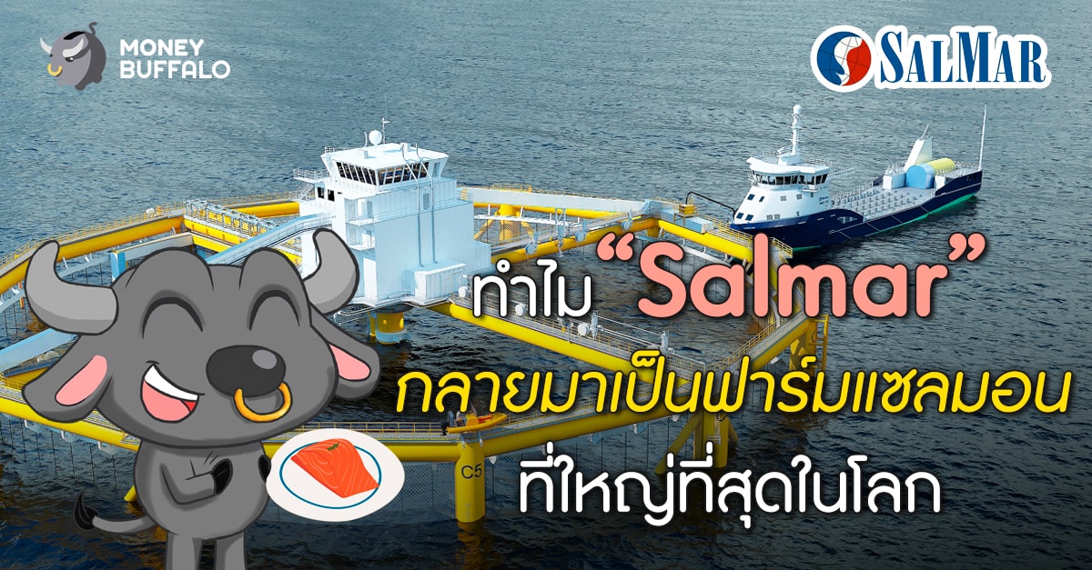 ทำไม “Salmar” กลายมาเป็นฟาร์มแซลมอนที่ใหญ่ที่สุดในโลก