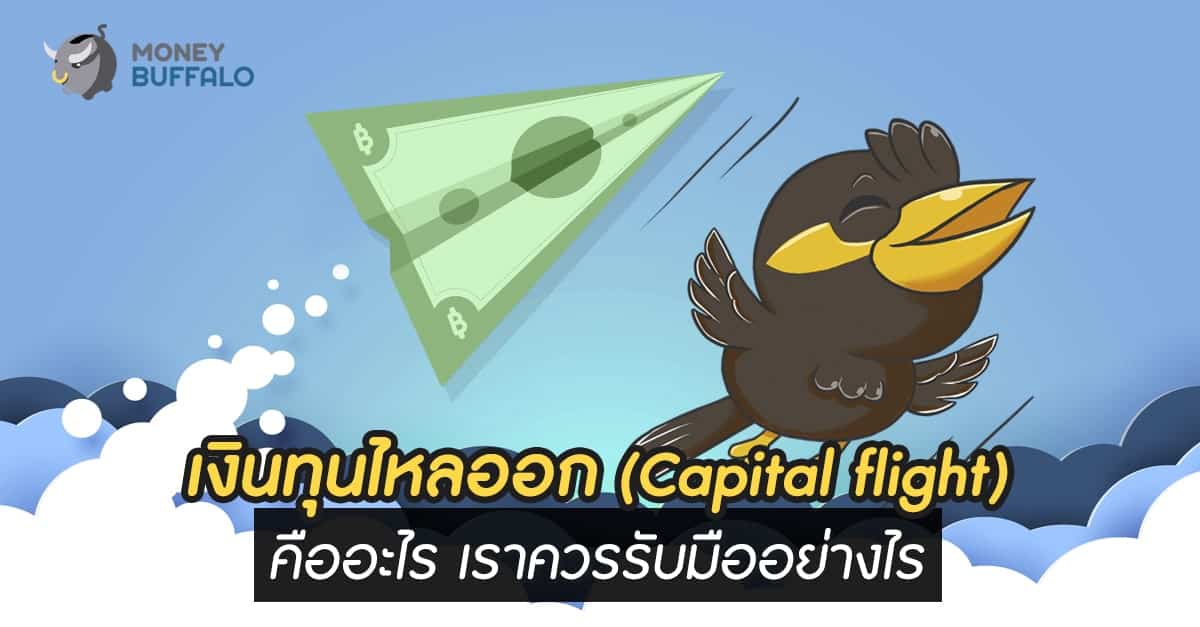 "เงินทุนไหลออก" (Capital flight) คืออะไร เราควรรับมืออย่างไร ?