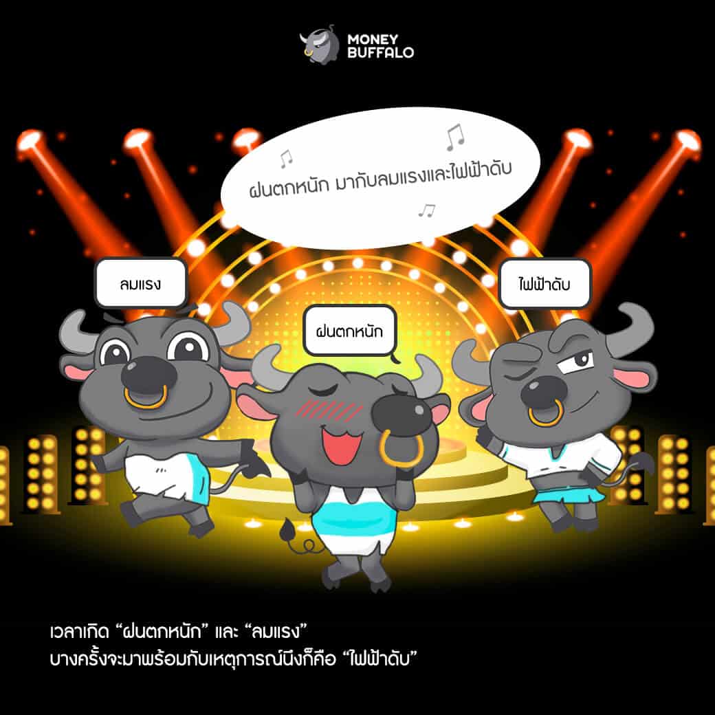 เคยสงสัยกันมั้ยว่า ? "ทำไมฝนตกแล้ว บางครั้งไฟฟ้าดับ"