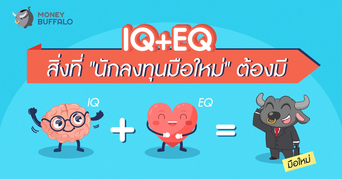 IQ EQ นักลงทุนมือใหม่