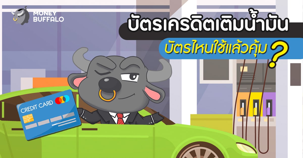 บัตรเครดิตเติมน้ำมัน” บัตรไหนใช้แล้วคุ้ม ? - Money Buffalo บัตรเครดิตเติมน้ำมัน” บัตรไหนใช้แล้วคุ้ม ? - Money Buffalo