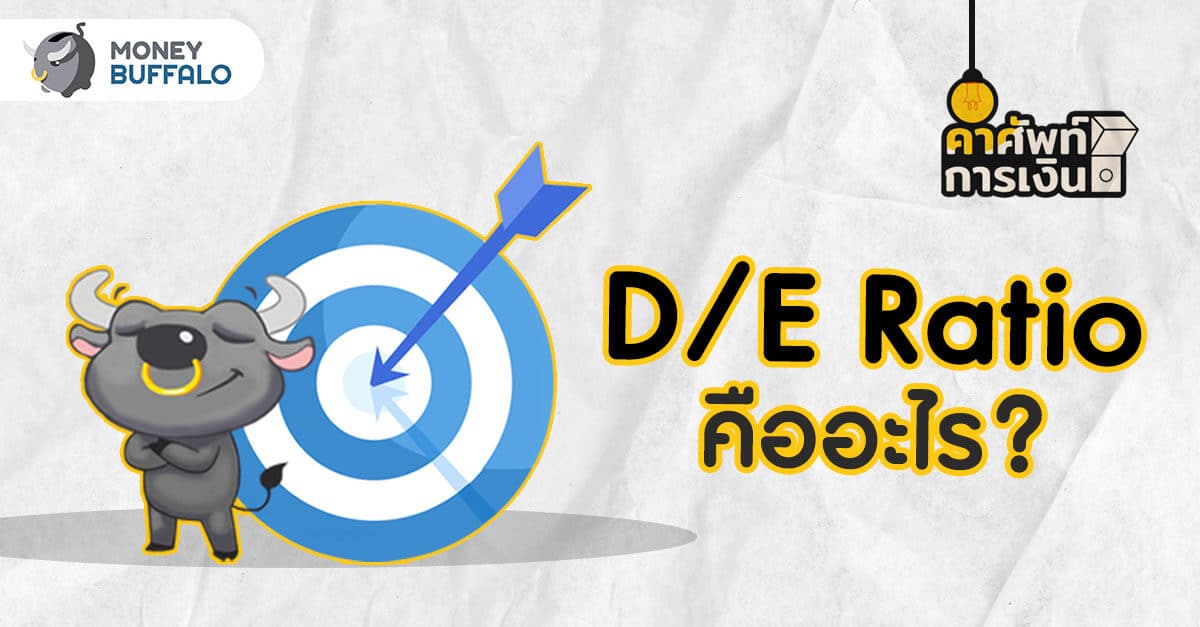 D/E Ratio คืออะไร