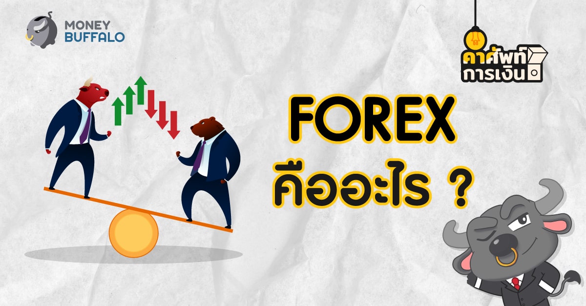 Forex wikipedia/pl op amp investing terminal services