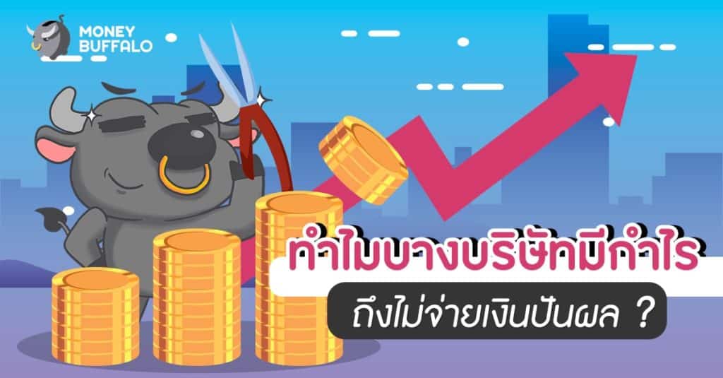 ทำไมบางบริษัทมีกำไร ถึงไม่จ่าย "เงินปันผล" ?