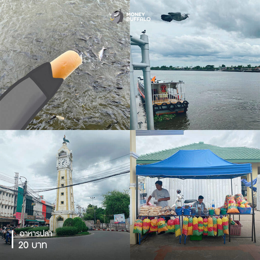 1 Day Trip ล่องเรือเที่ยว "นนทบุรี" ได้ความรู้ดีดี งบแค่ 500 บาท