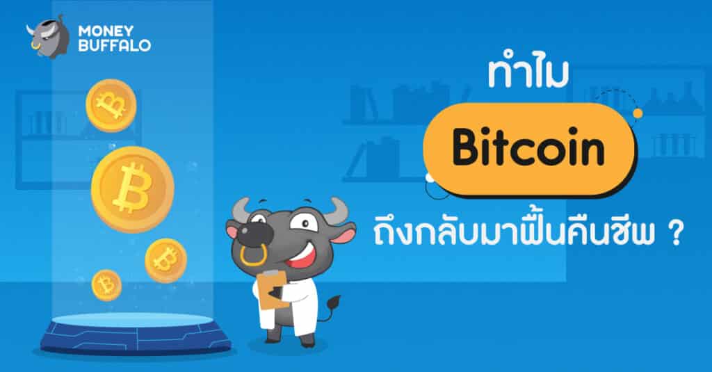 ราคา bitcoin