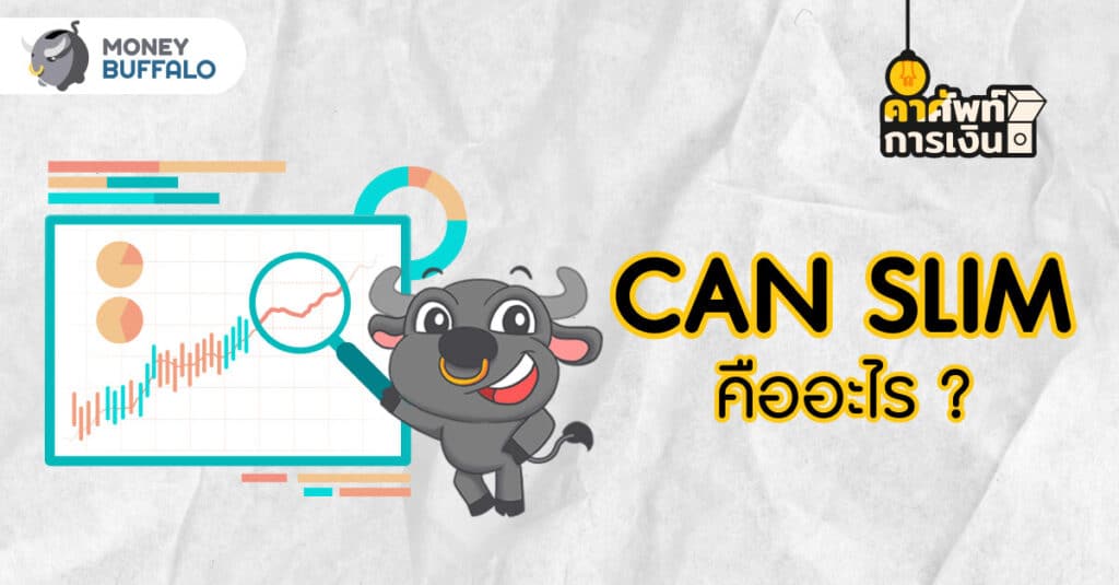 CAN SLIM คืออะไร