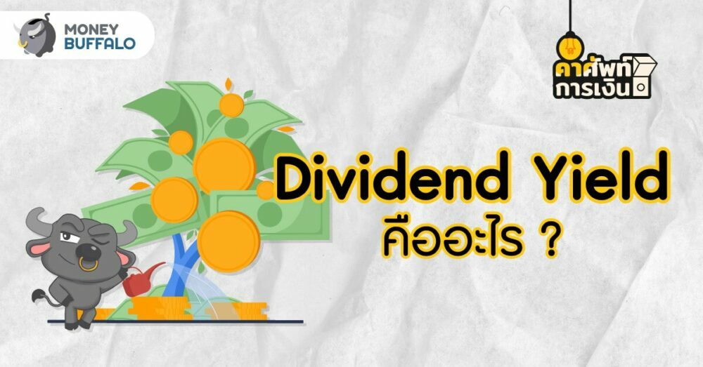 Dividend Yield คืออะไร