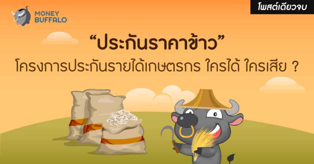 ประกันราคาข้าว