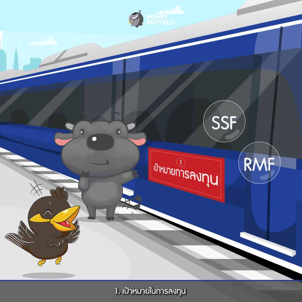 SSF vs RMF เลือกแบบไหน กองทุนบัวหลวง