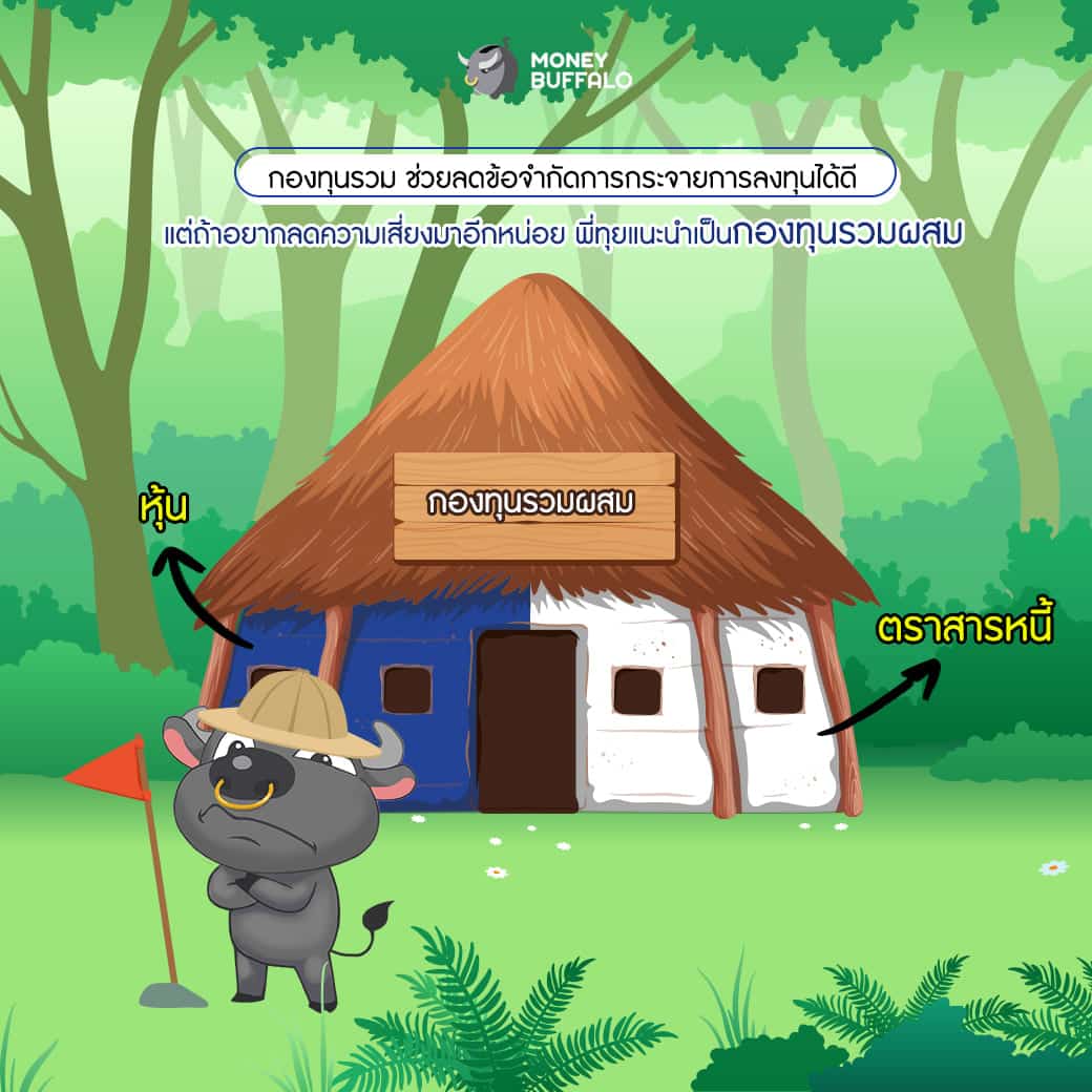 พอร์ตการลงทุน กองทุนรวมผสม กองทุนบัวหลวง