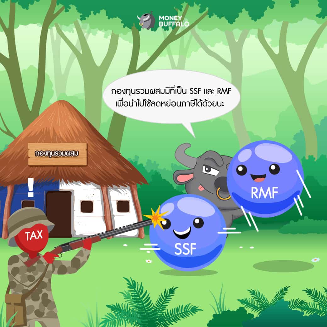พอร์ตการลงทุน กองทุนรวมผสม กองทุนบัวหลวง