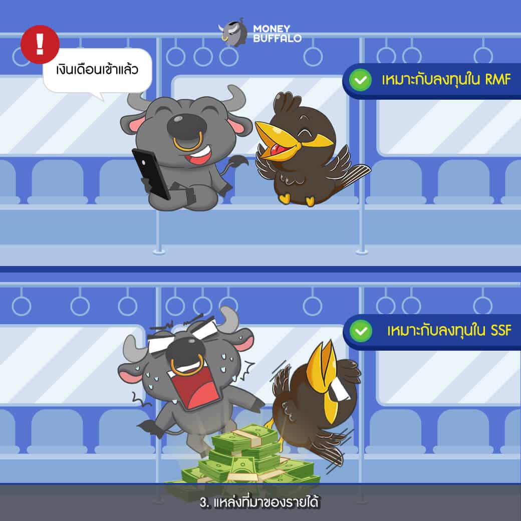 SSF vs RMF เลือกแบบไหน กองทุนบัวหลวง