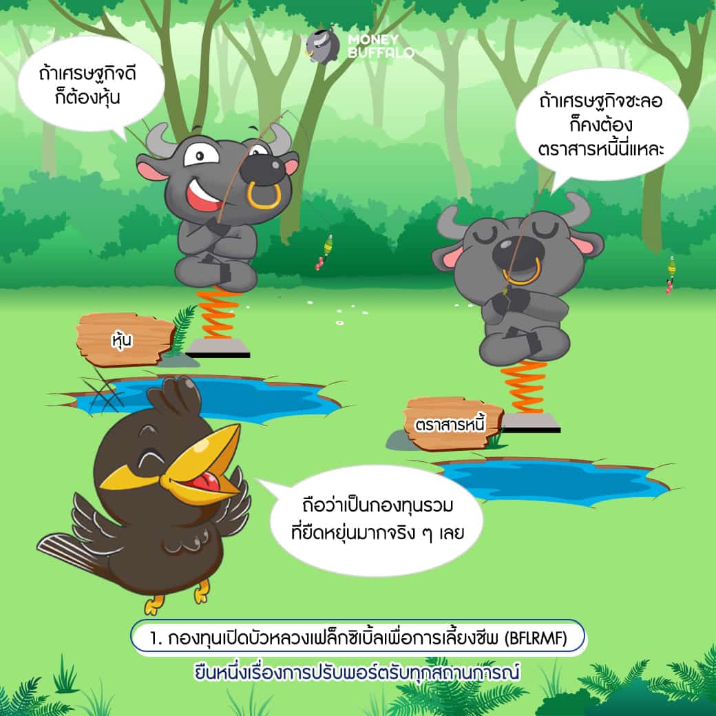 พอร์ตการลงทุน กองทุนรวมผสม กองทุนบัวหลวง
