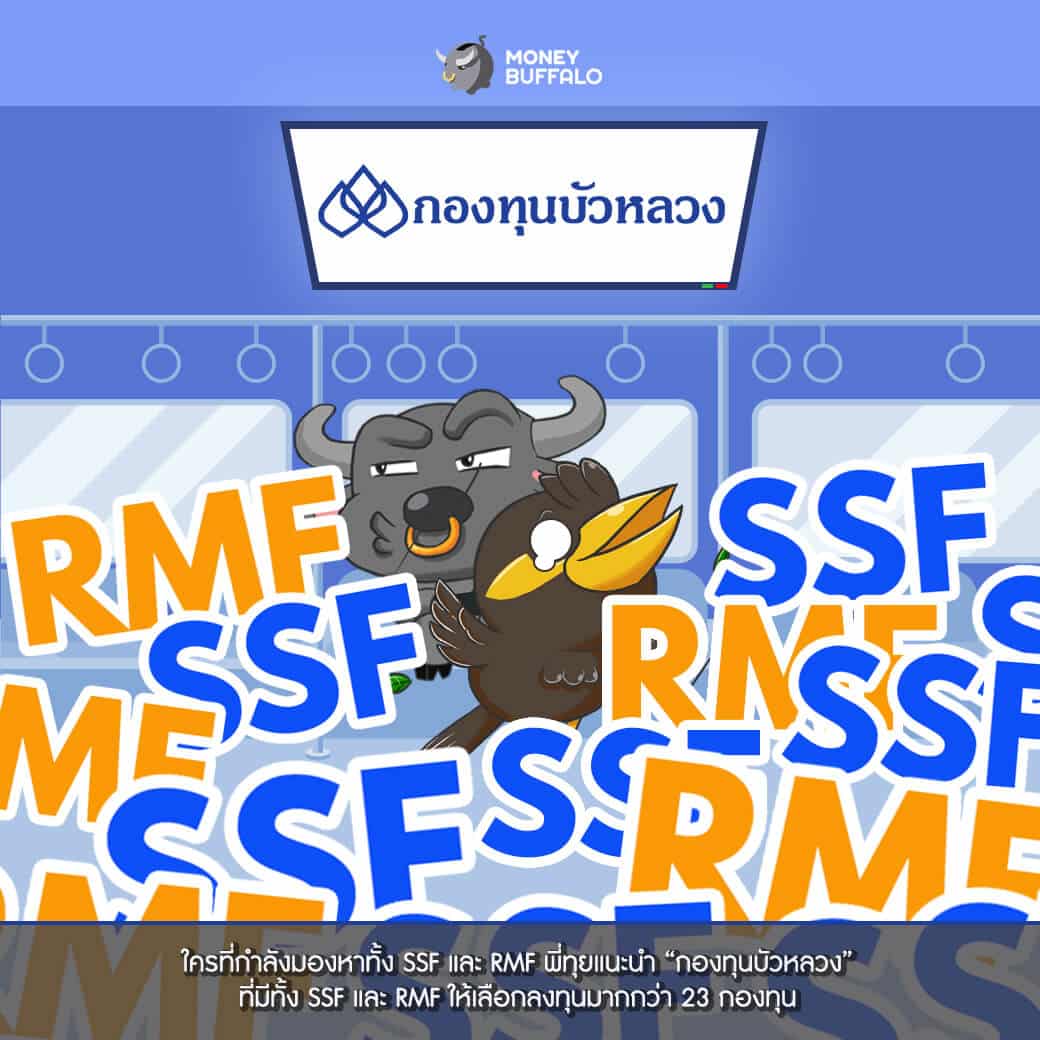 SSF vs RMF เลือกแบบไหน กองทุนบัวหลวง